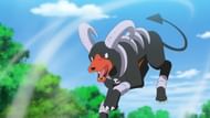 Houndoom can beat both Aaron and Lucien in the Elite Four (Image via The Pokemon Company)